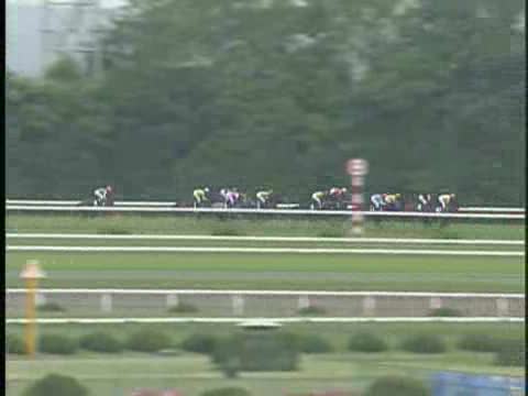 天皇賞(春) レース結果 | 2002年4月28日 京都11R - netkeiba