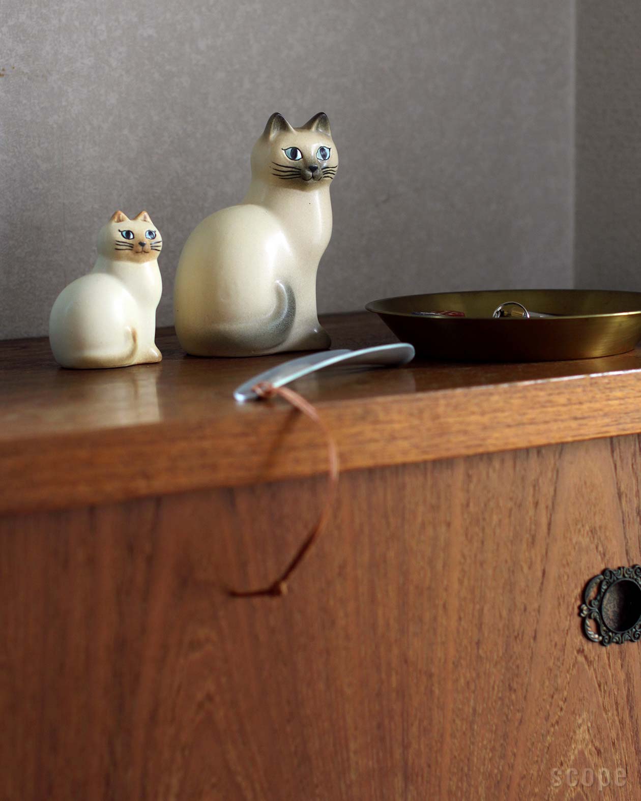 リサラーソン猫シャム系カラー