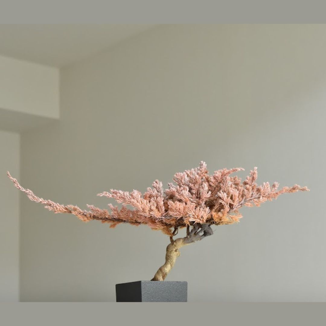 ドライ盆栽® 桜色 （桝形）枯れ盆栽の通販 | GreenSnap STORE(グリーン