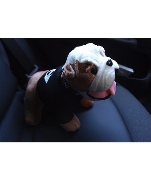 no brand（ノーブランド）の「BMW MINI スパイクくん ブルドッグ