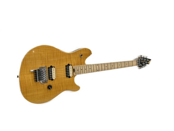 PEAVEY セミアコ」の買取実績・相場-高額買取なら高く売れるドットコム