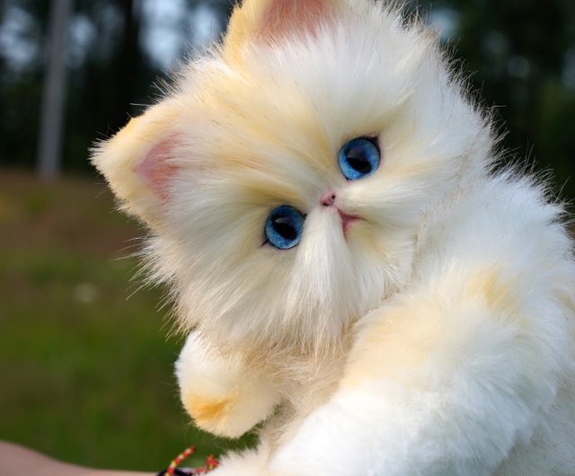 ロシア ペルシャ猫の子猫のかわいいぬいぐるみ、動くフィギュア Monkey