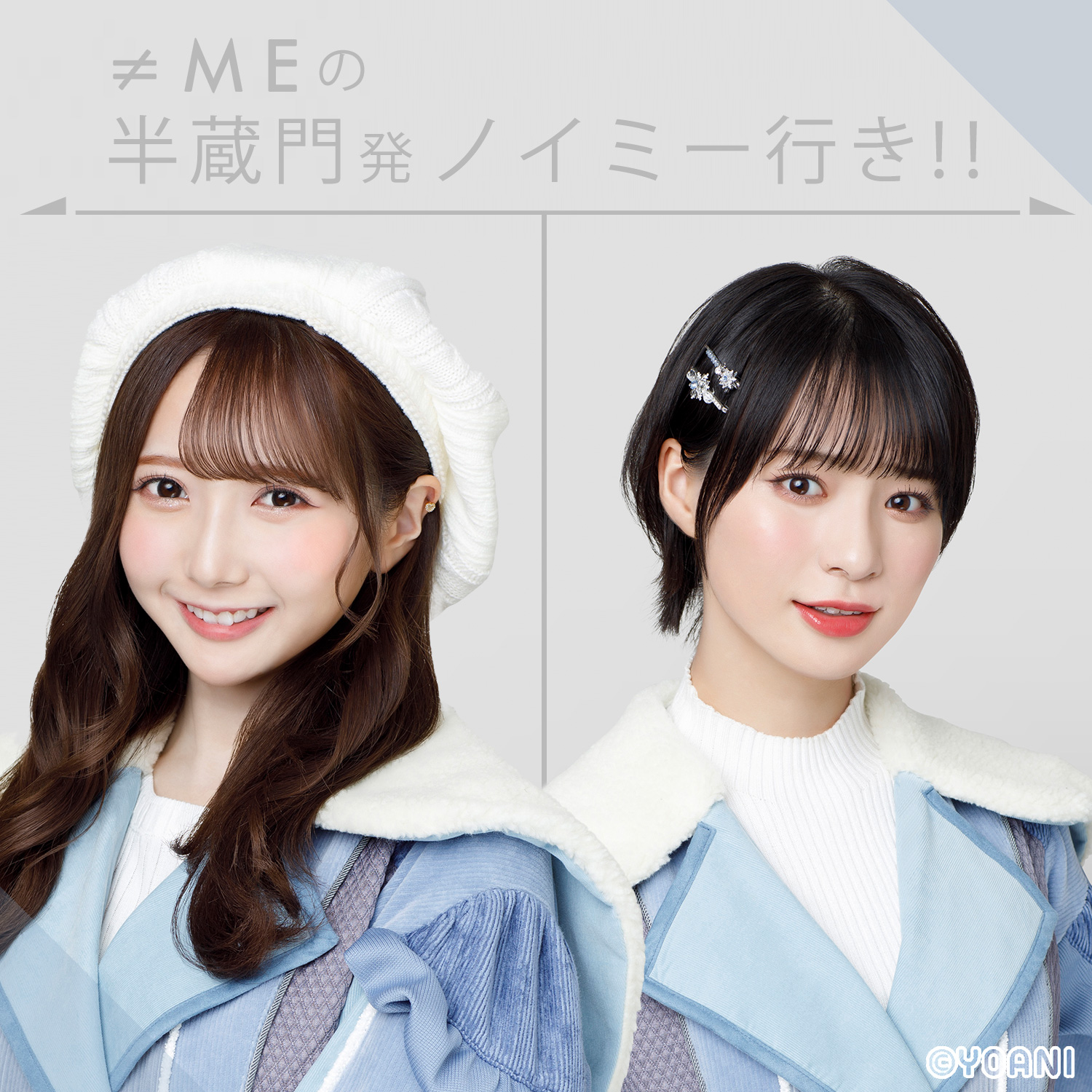 ≠MEの半蔵門発 ノイミー行き！！|メンバーを犬か猫に例えるなら