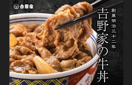 吉野家 人気5種 10袋 セット 詰め合わせ 冷凍 牛丼 レトルト 丼の具