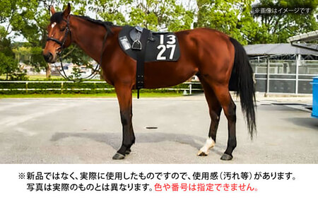 JRA/日本中央競馬会】数量限定！調教用ゼッケンと騎手サイン色紙