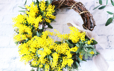 フレッシュ ミモザ ハーフムーンリース L【ハンドメイド ミモザリース