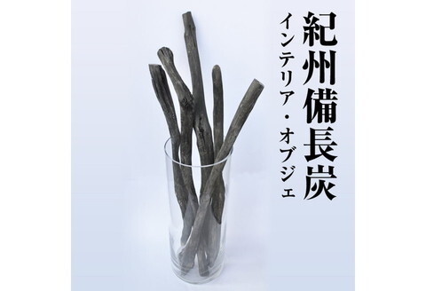 0200-1】紀州備長炭 インテリア・オブジェ(Lサイズ) | 和歌山県御坊市