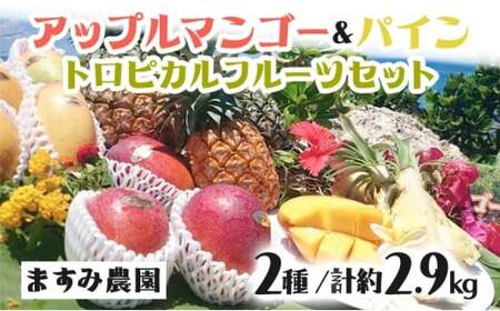2026年 先行予約 パイン マンゴー セット トロピカルフルーツセット