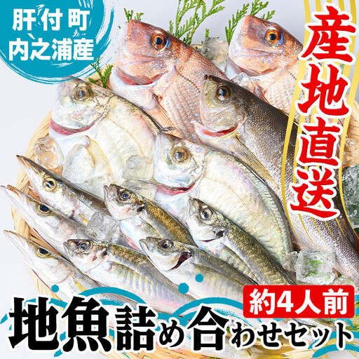 A09002】地魚 詰め合わせ セット 約4人分 産地直送 鮮魚ボックス 鮮魚