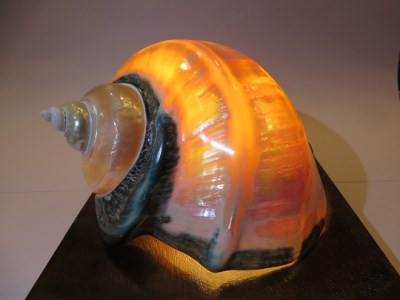 夜光貝ランプJ-⑮ | 鹿児島県喜界町 | ふるさと納税サイト「ふるなび」