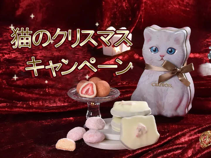 猫のクリスマスキャンペーン開催中！｜シャトロワ（CHATROIS）公式通販