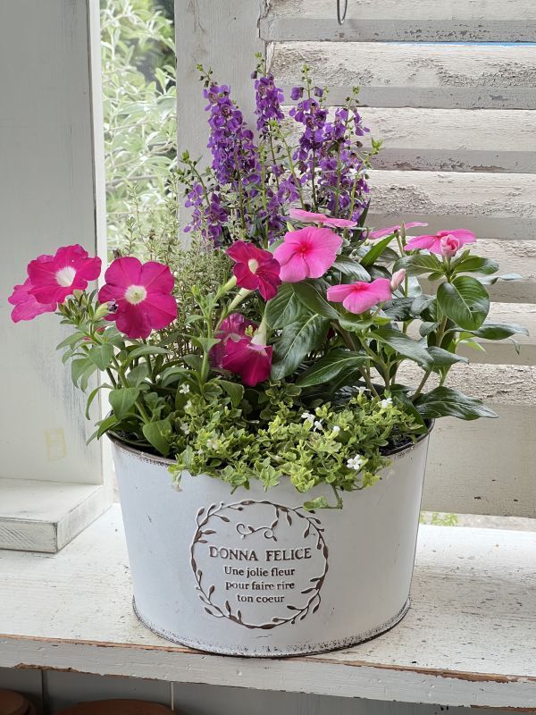 オリジナル寄せ植えのオーダー - Le Ciel（ル・シエル）