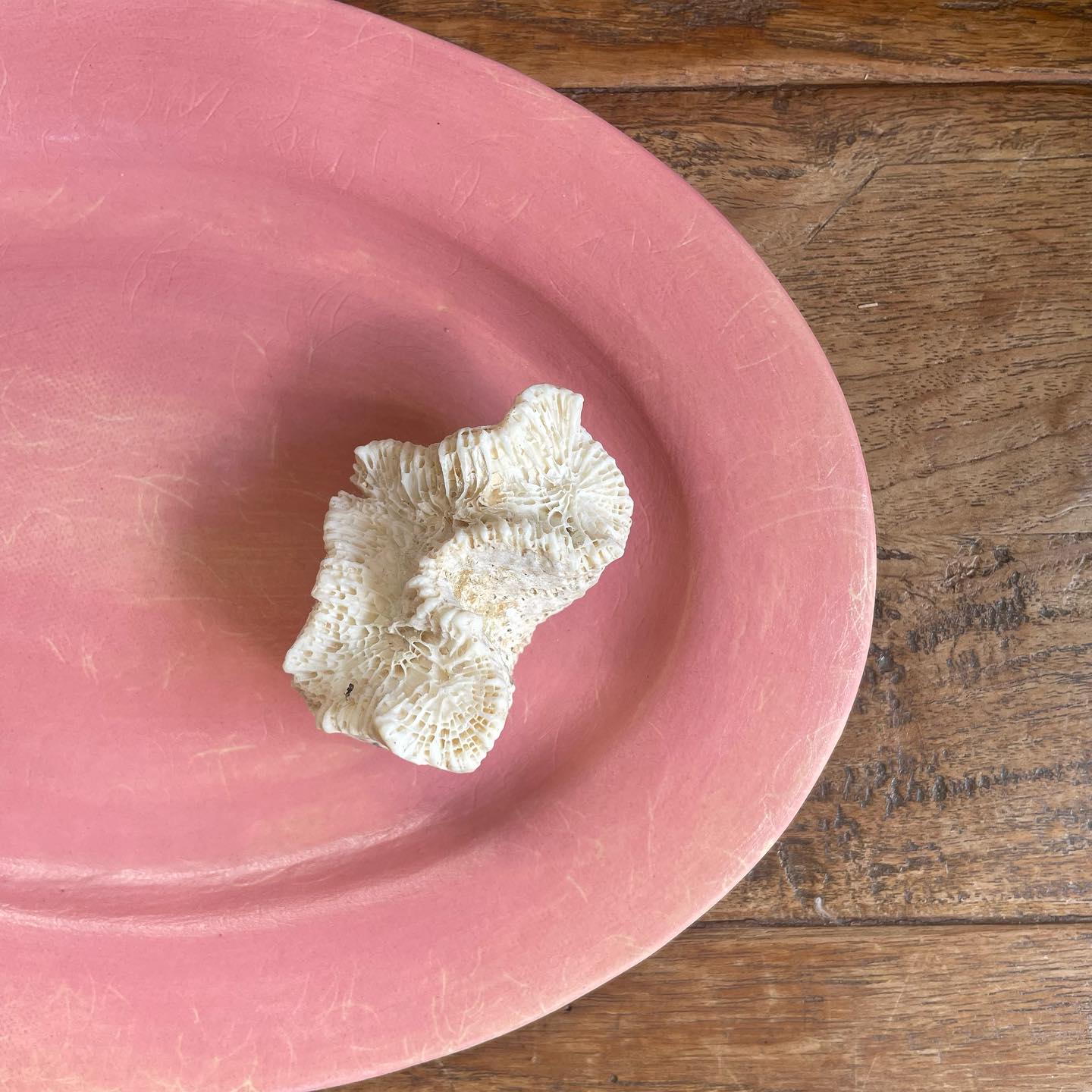 bonoho佐藤尚理さんの器 | CONTE