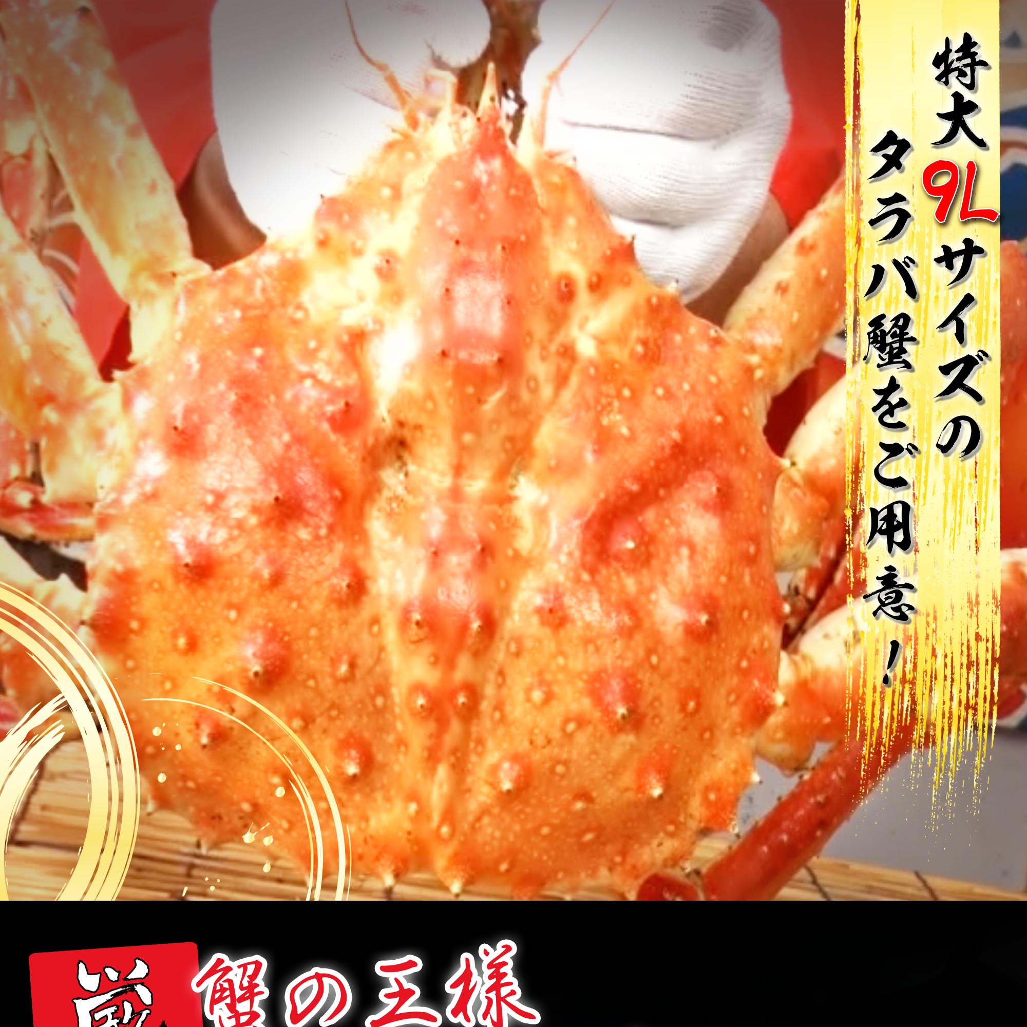 公式】 特大9Lサイズ 本タラバ蟹脚 総重量2.0kg (蟹)| とれたて