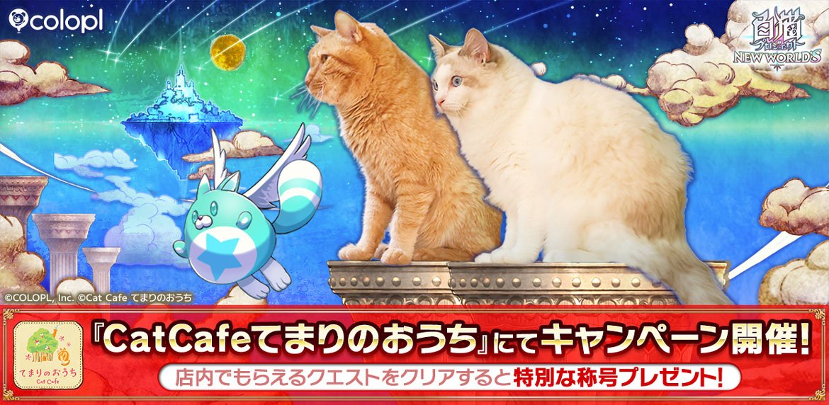 白猫プロジェクト NEW WORLD'S』実写化中止のお詫び 出演したネコが