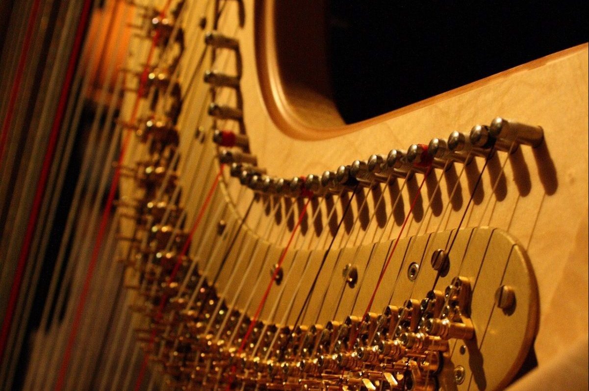 ハープってどんな楽器？ 若手ハーピスト 斎藤樹里さんの演奏会に潜入