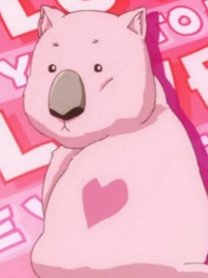 ウォンバット ぬいぐるみ - PlushtoyKingdom.com