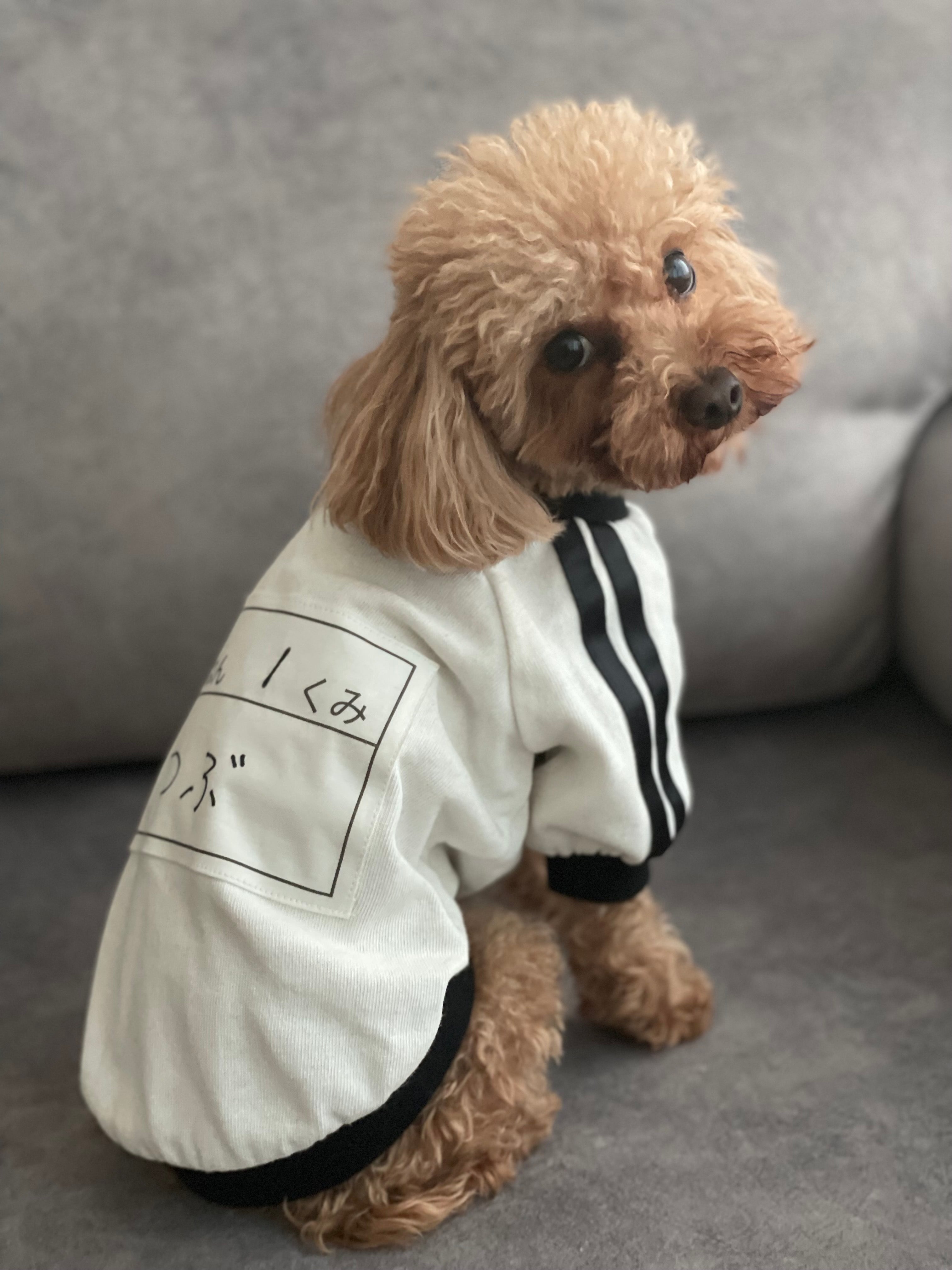 ZOE ヘッド 素体 洋服 セット 楽天市場】I8Toys 1/6 かわいい