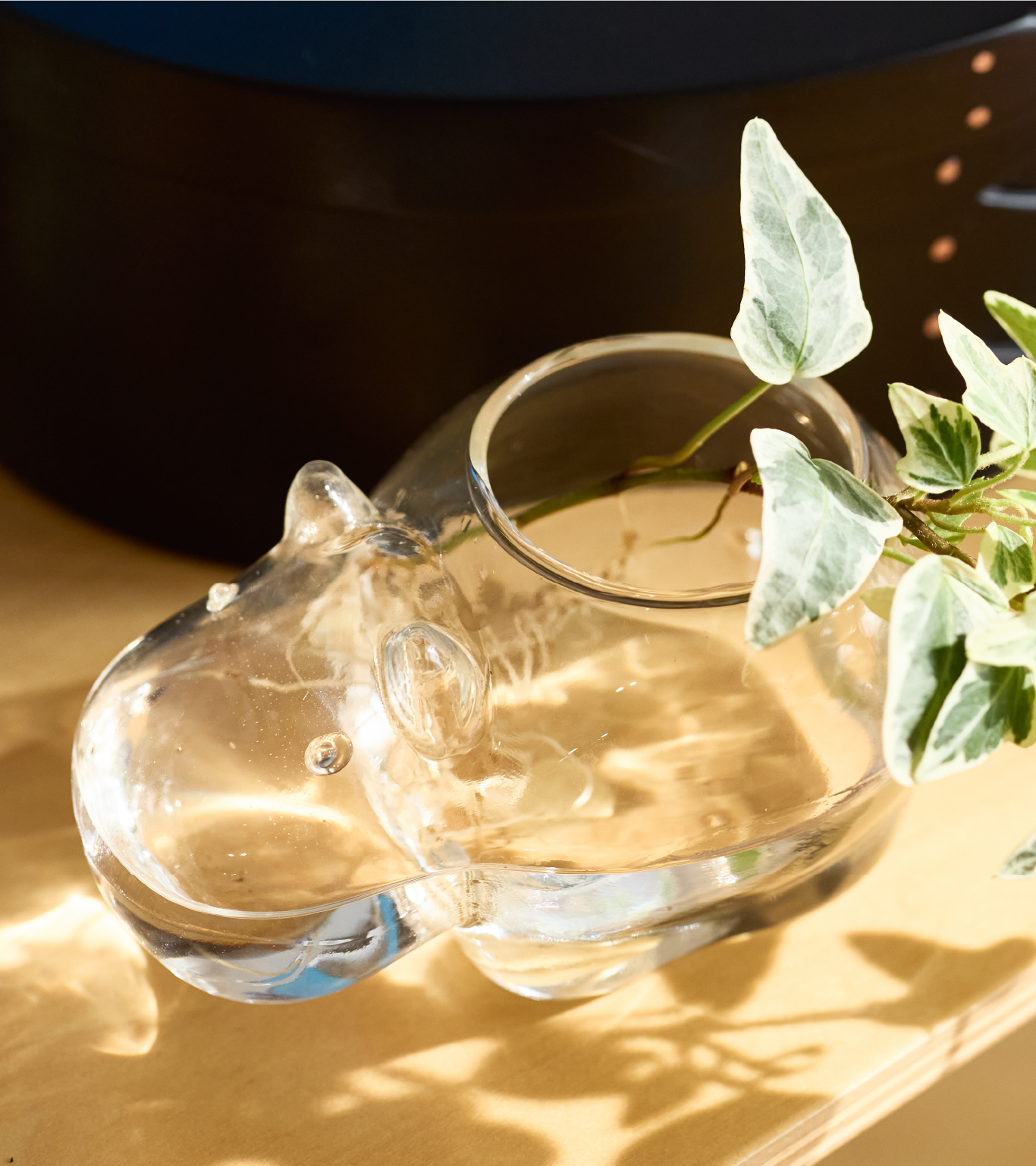 Animals｜CLAY - 花と人をツナグ