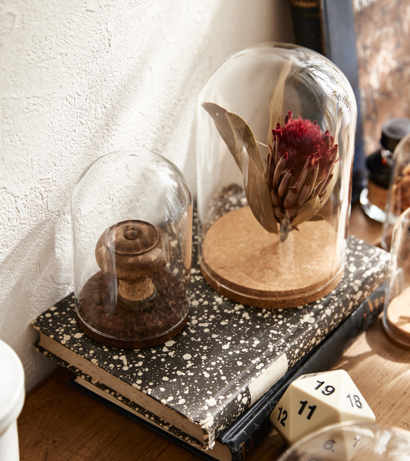 Glass dome with Cork｜CLAY - 花と人をツナグ