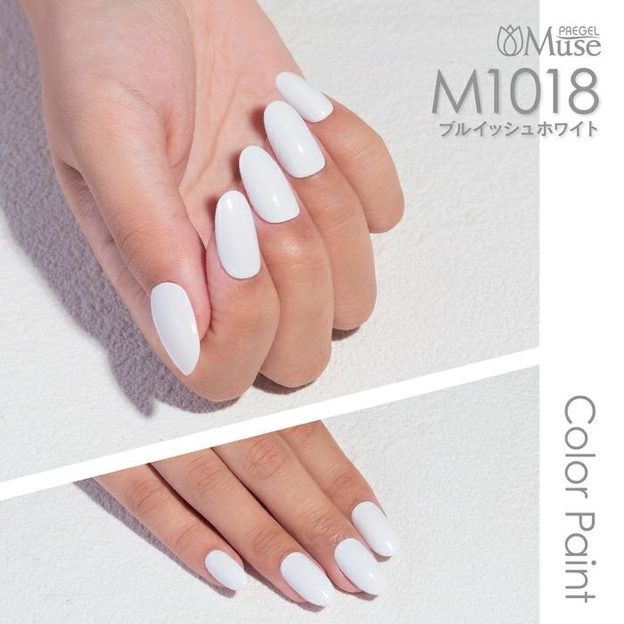 M1018】プリジェル ミューズ ブルイッシュホワイト | PREGEL