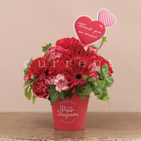 プラスチック花器 | 株式会社カレント - 花器・花材・ラッピング