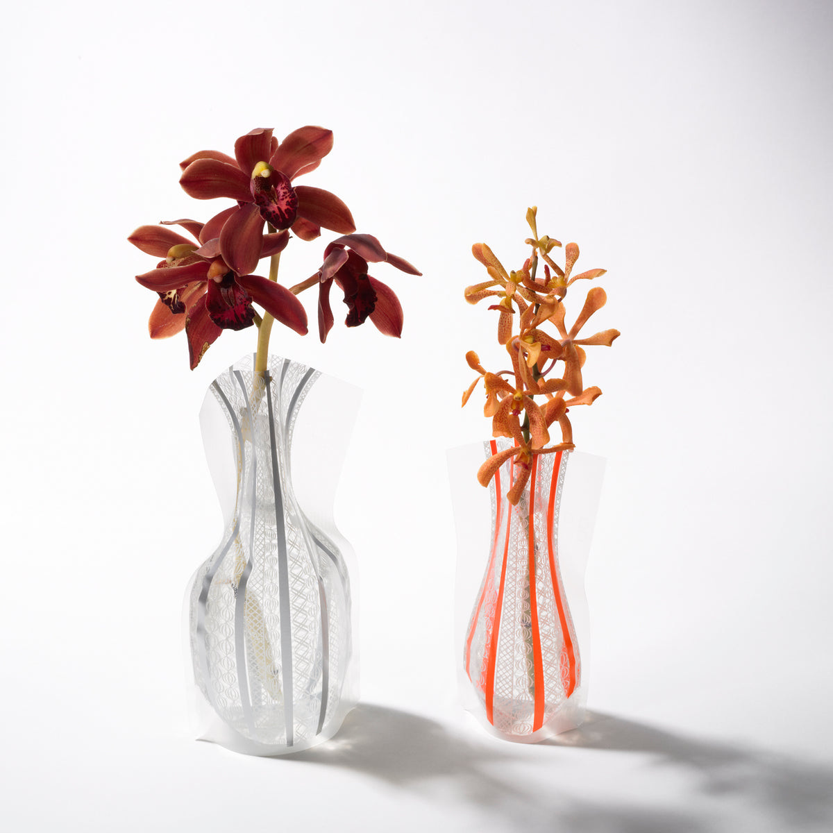 フラワーベース レースストライプ | D-BROS