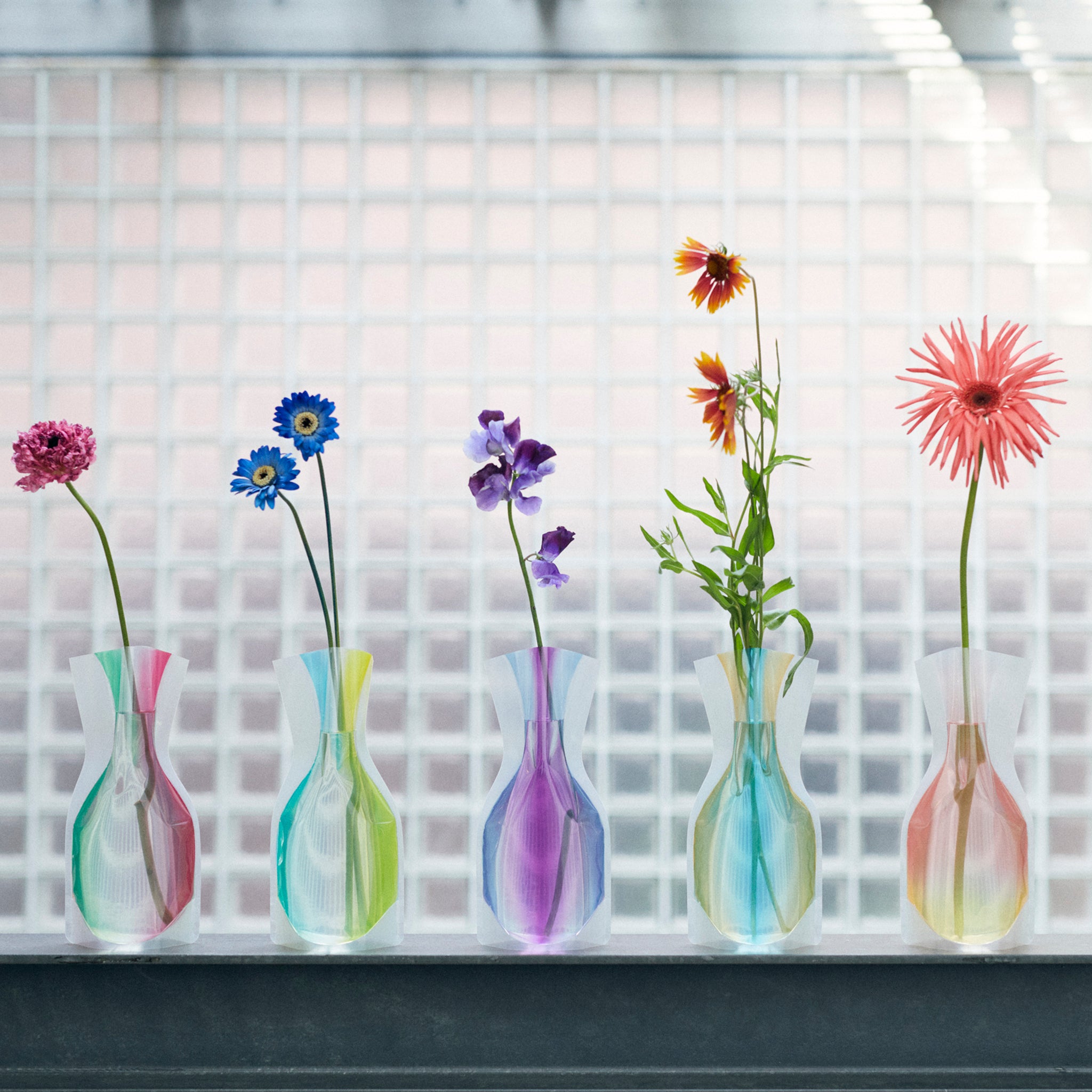 フラワーベース ジェリーライム | D-BROS