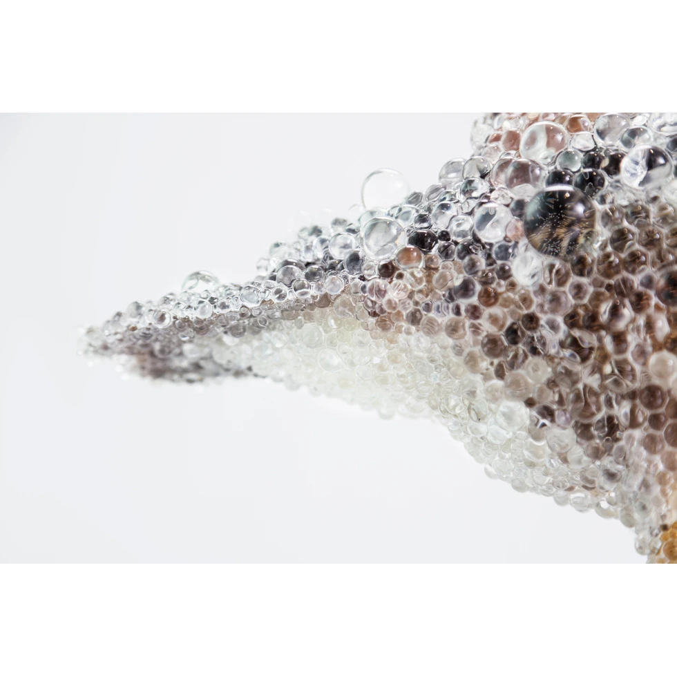 UESHIMA MUSEUM COLLECTION