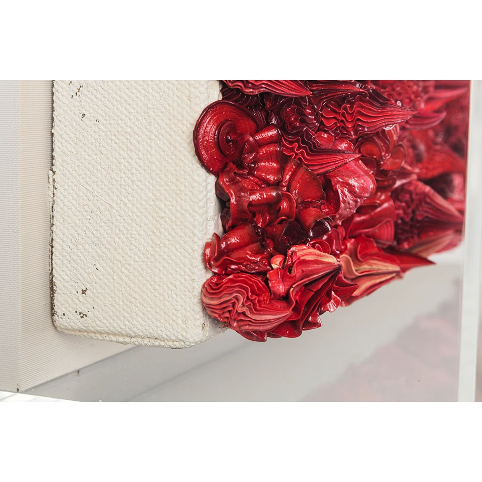 UESHIMA MUSEUM COLLECTION