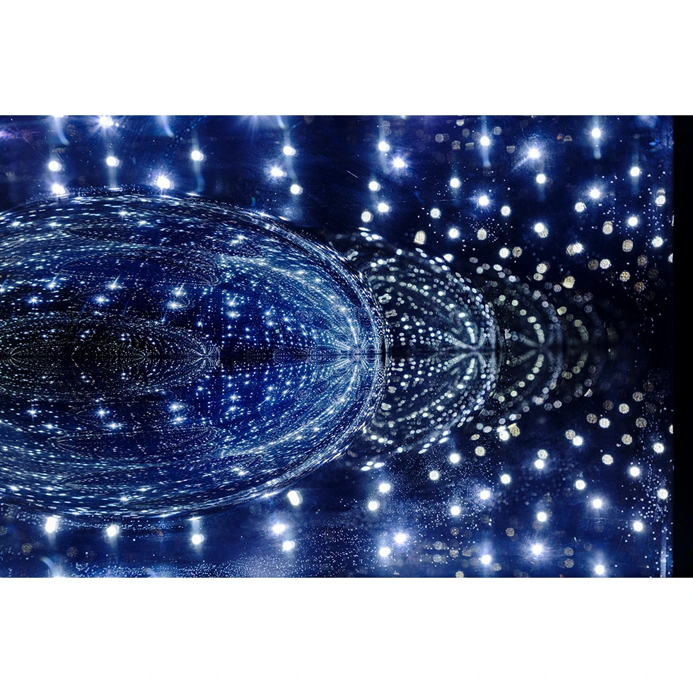 UESHIMA MUSEUM COLLECTION