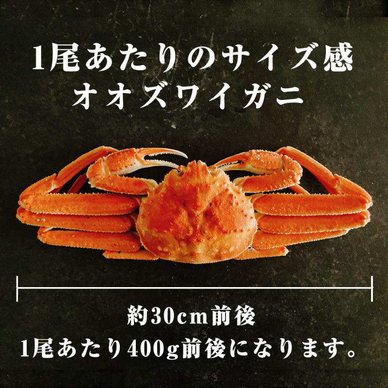 冷凍】カネサン佐藤水産 北海道産オオズワイガニ4尾(合計1.6kg)｜郵便