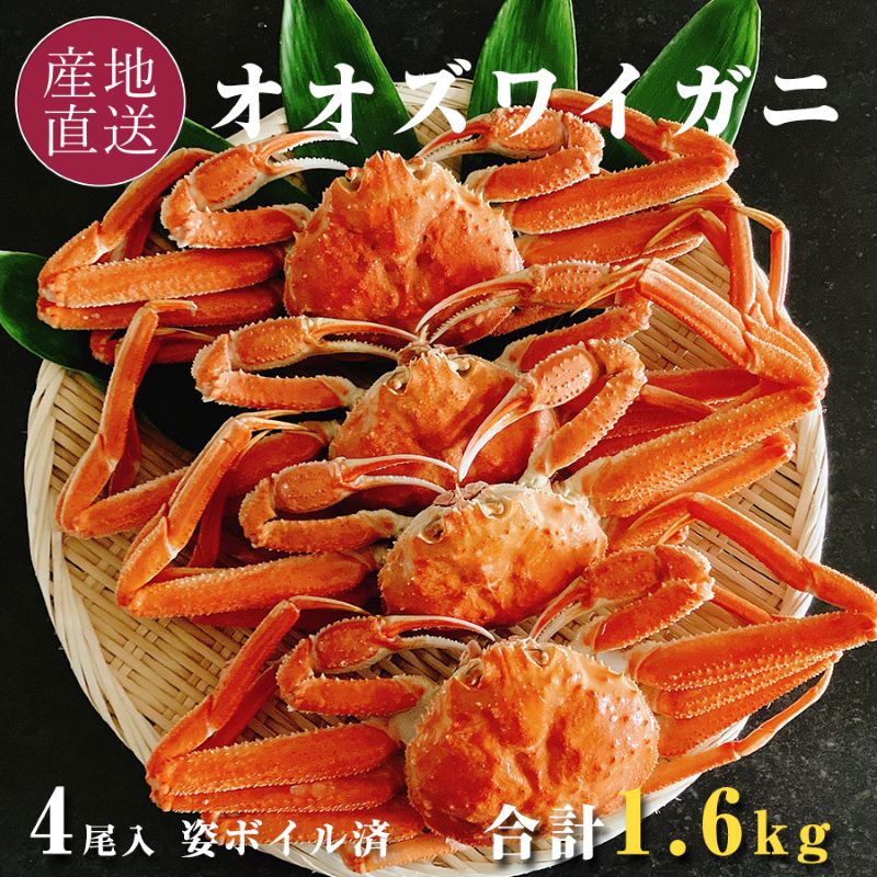 冷凍】カネサン佐藤水産 北海道産オオズワイガニ4尾(合計1.6kg)｜郵便