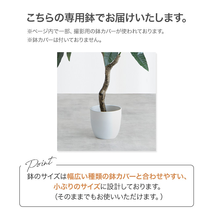 g162012]【高さ95cm】Nature 光触媒人工観葉植物 アレカヤシ 観葉植物