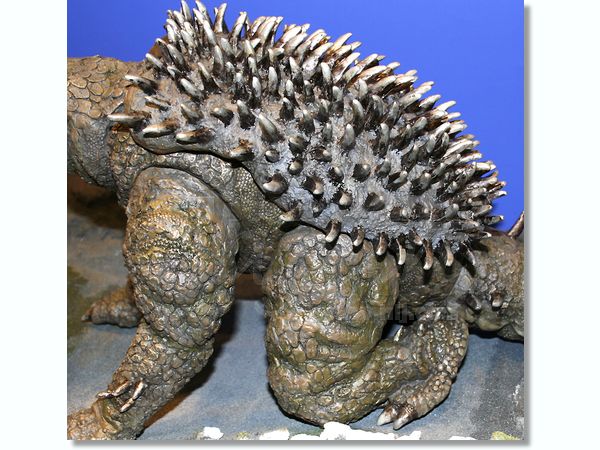 二代目 アンギラス | HLJ.co.jp