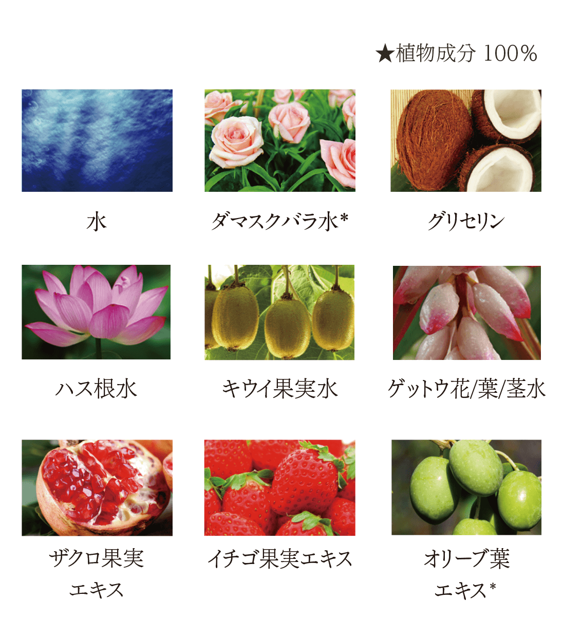 バランシングトナー2本セット【7%オフ】 | フルティア