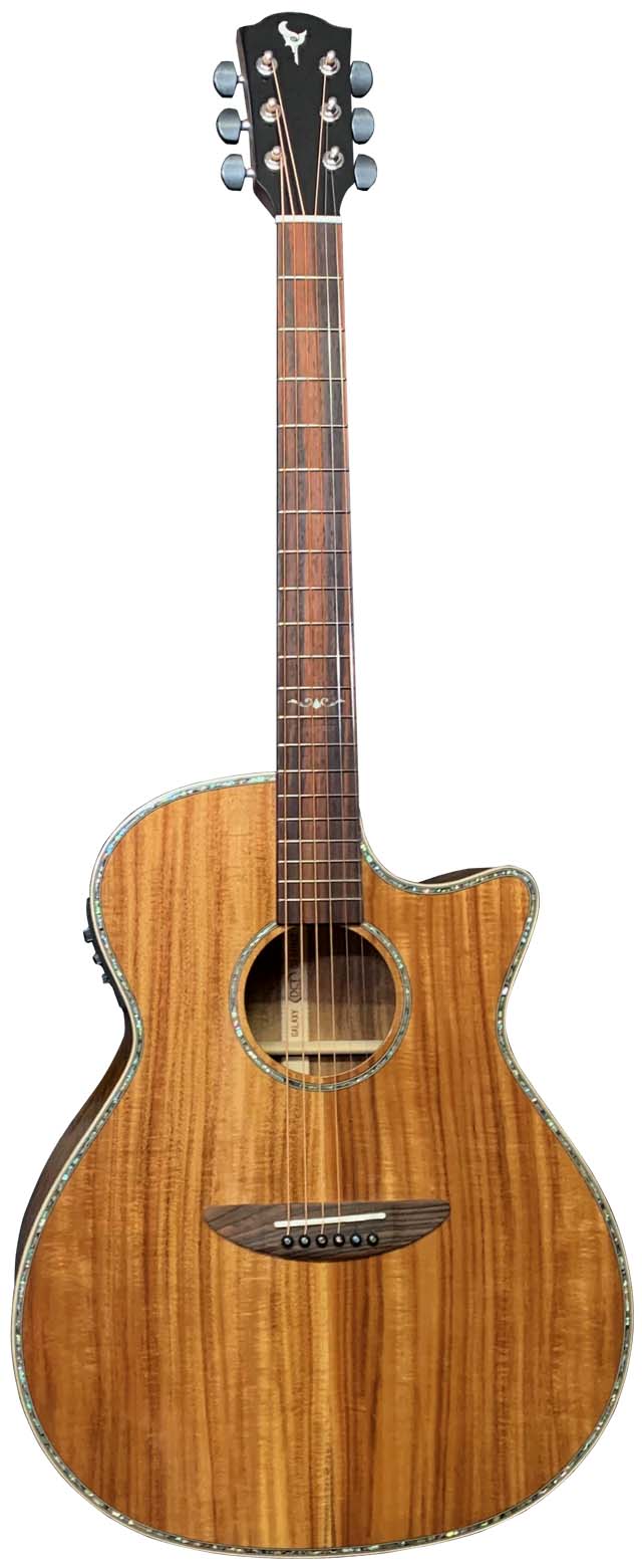 エレアコ DCT F-200E Fishman搭載 エレアコ DCT F-200E Fishman搭載