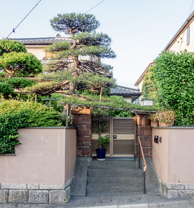 門かぶりの松」がおもしろい :: デイリーポータルZ