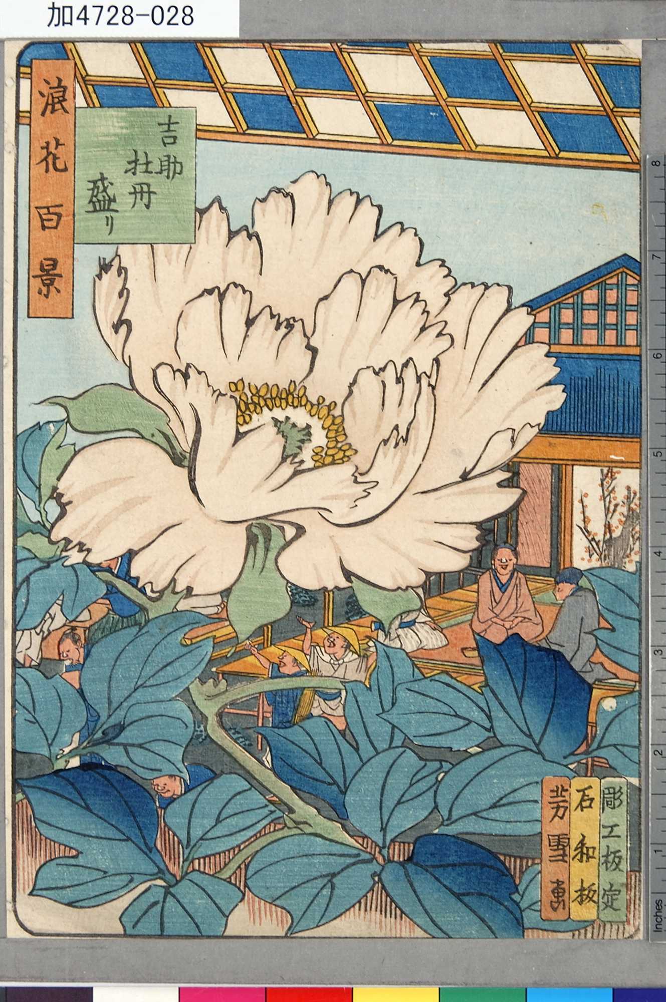 芳雪による浮世絵「「浪花百景」 「吉助牡丹盛り」」