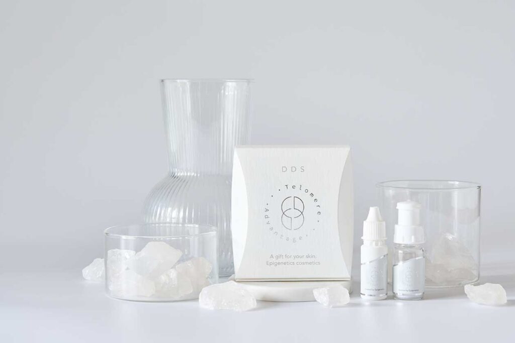 NEWS｜DDS株式会社