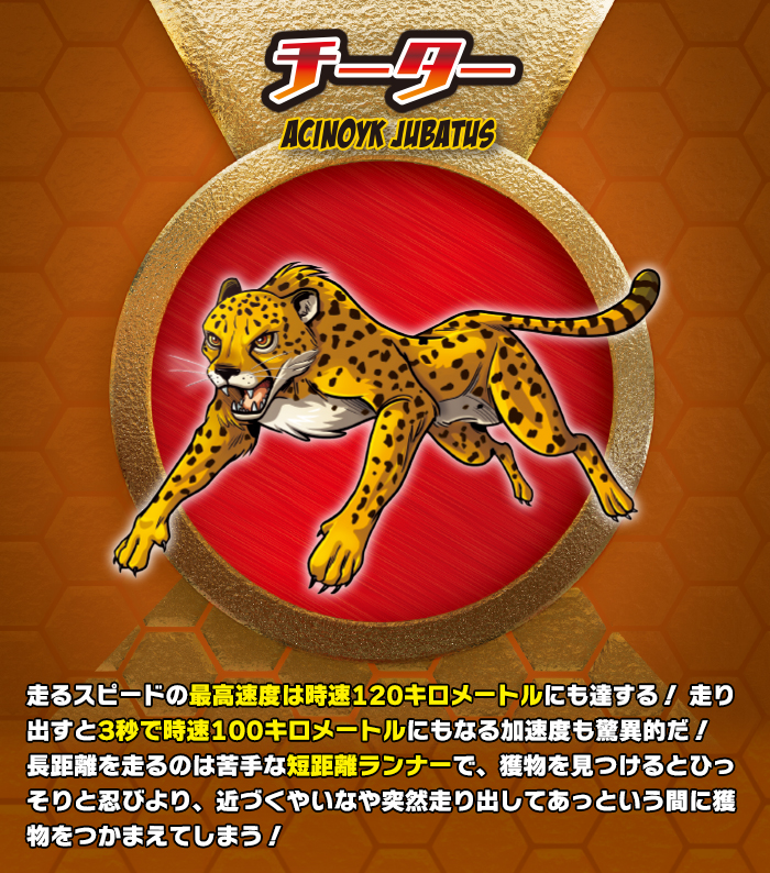 スーパーアニマル＆Co. (アンドコ) | デアゴスティーニ公式