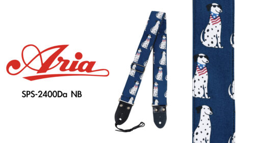 Steinbergとぼっち・ざ・ろっく！がコラボ！「UR22C Bocchi Edition