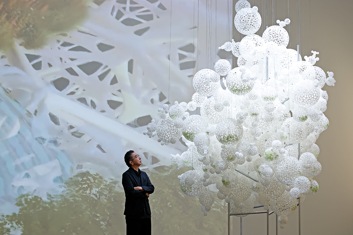 建築家・藤本壮介｜未来の森と建築のビジョンを大公開！ | Discover