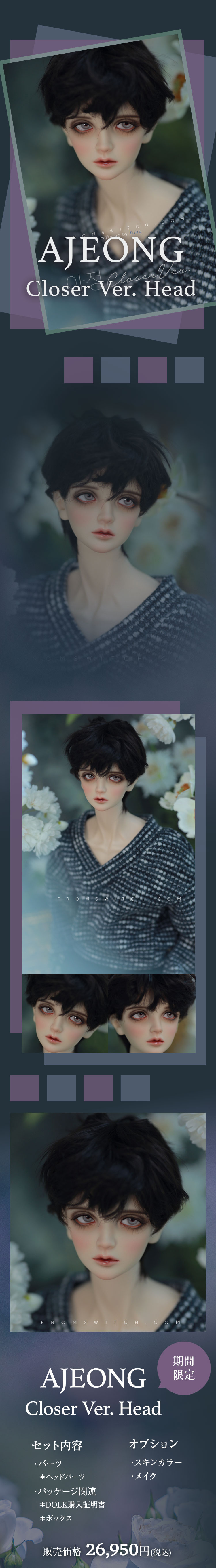 SWITCH｜期間限定ヘッドパーツ＆ボディパーツ特設 - DOLK（ドルク）