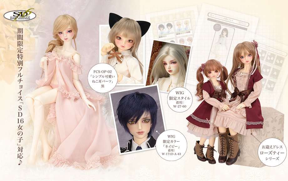 SDフルチョイスシステム オーナー様特別オプション販売キャンペーンっ