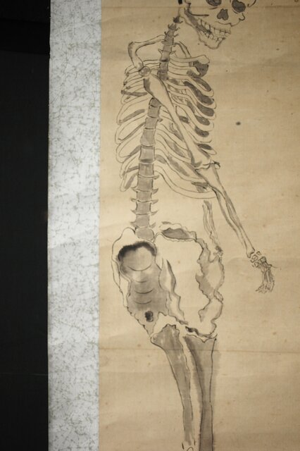 骸骨 しゃれこうべ 紙本軸装 掛軸 Z296｜骨董店 のびる 古美術 骨董