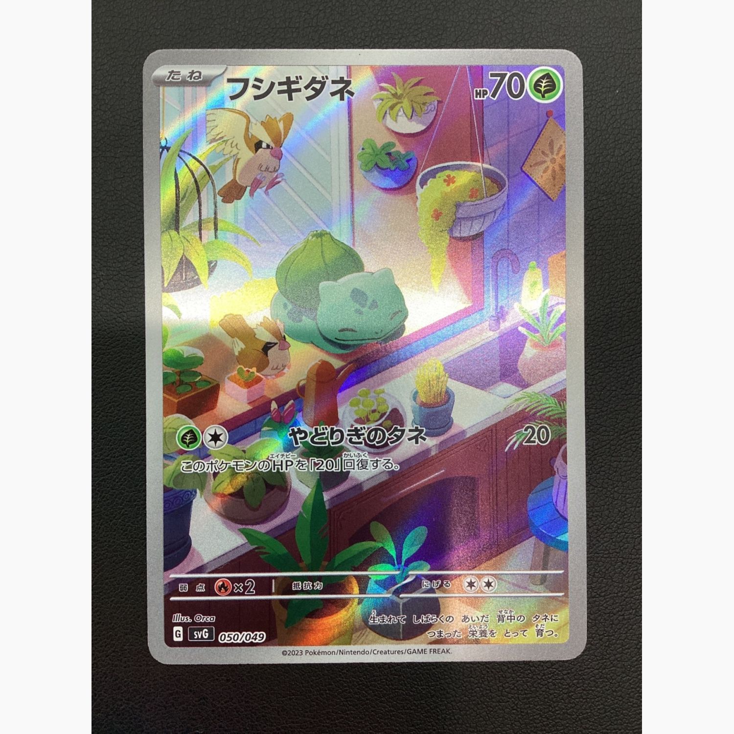 PSA10 3連番 151 フシギダネ ヒトカゲ ゼニガメ 御三家 AR PSA10