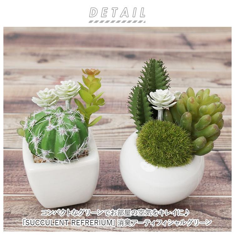 多肉植物 サボテン フェイク 通販 おしゃれ 小さい CT触媒 消臭