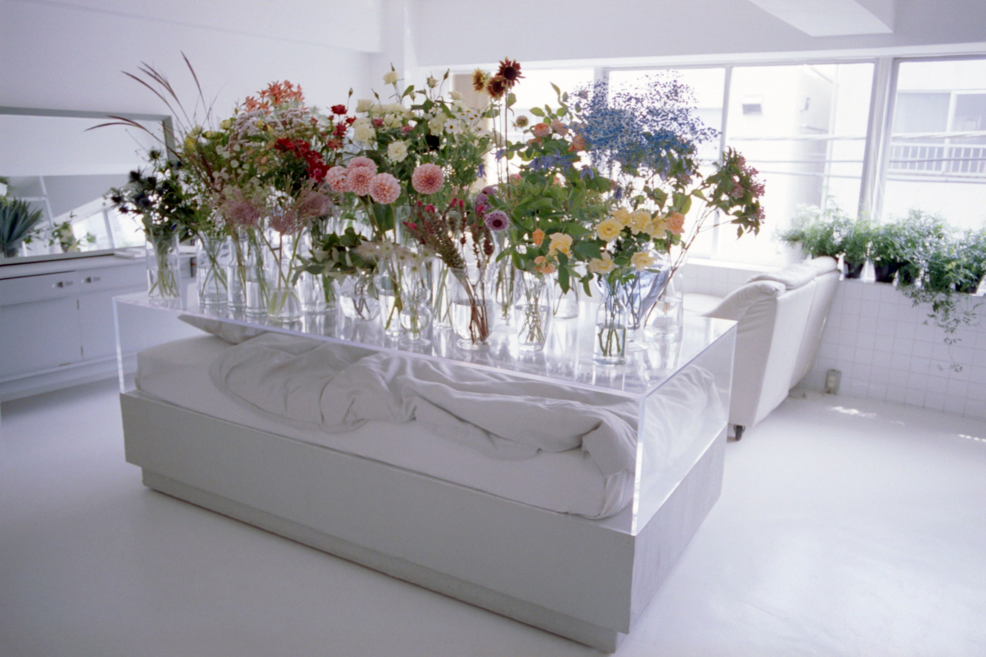 Untitled_4_41.jpg?v=1685069046