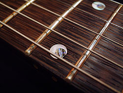 ESP POTBELLY 製品詳細